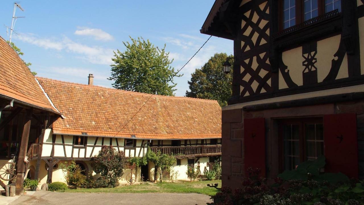 Le Gite Des Ecureuils Schalkendorf Exterior foto